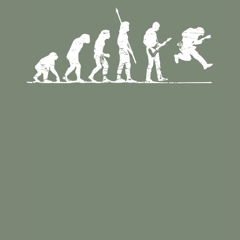 Guitariste Evolution, guitariste