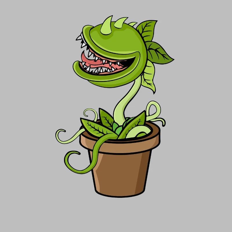 Carnivorous plant Venus flytrap