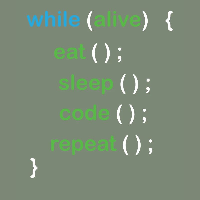 Python Coding Software Developer