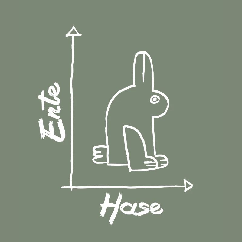 Math Duck Rabbit Mathematics Lessons Fun