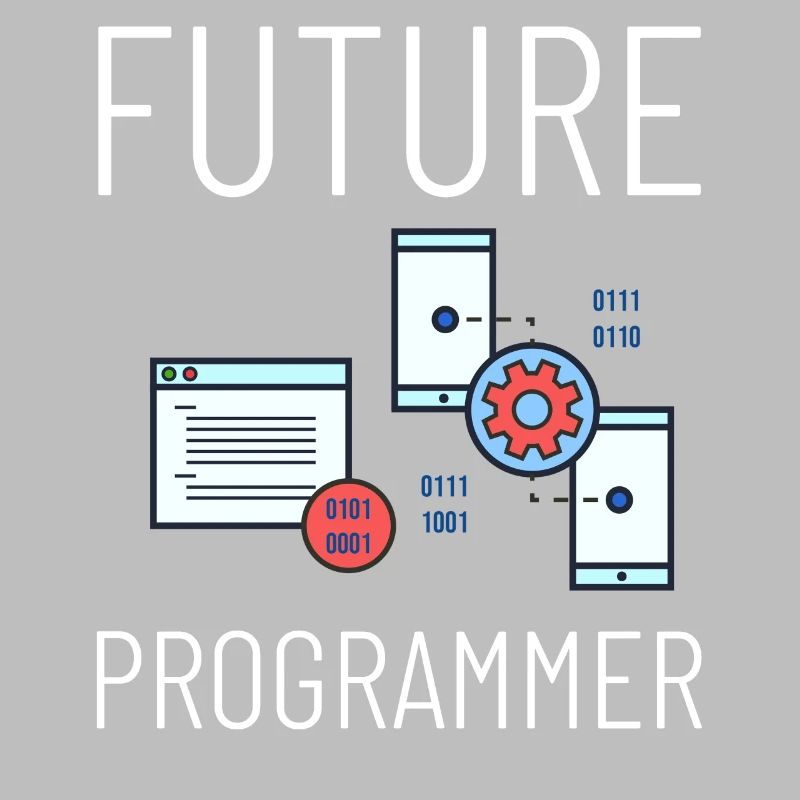 Programmeur Programmation Ordinateur Développeur Pc