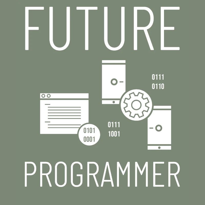 Programmeur Programmation Ordinateur Développeur Pc