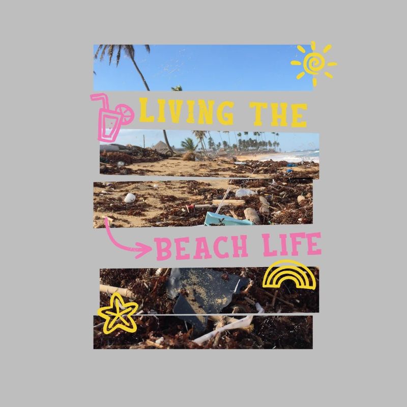 Sarcastic summer design garbage on the beach