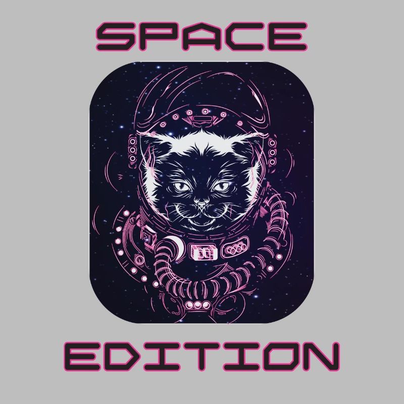 Chat de l’espace