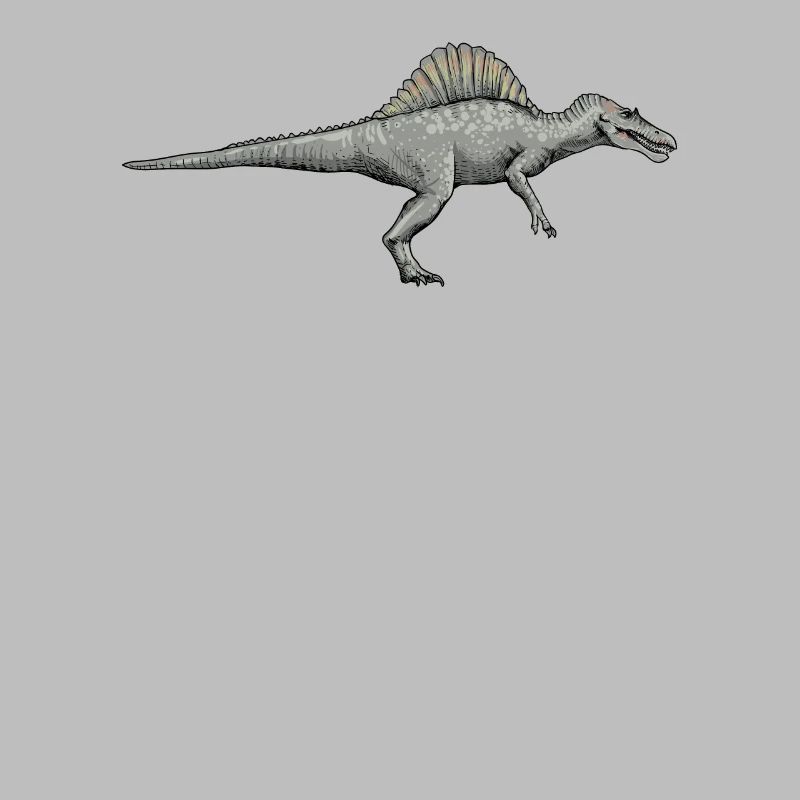 Spinosaurus I Thorn Lizard Cretaceous Fossil