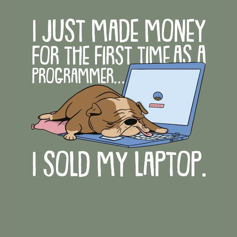 Programmierer Coder Software Entwickler