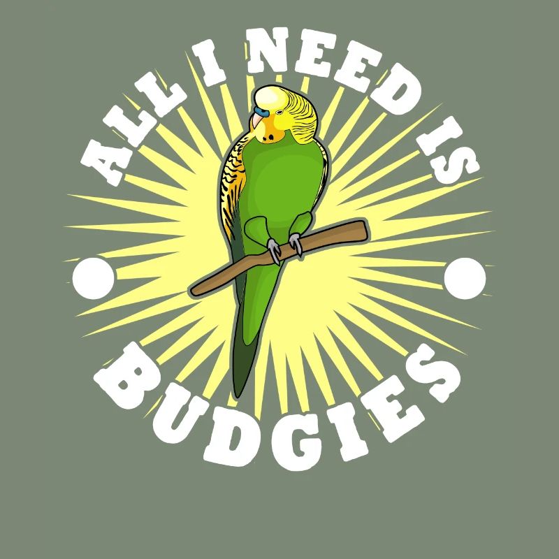 Perruche Perruche Budgerigar