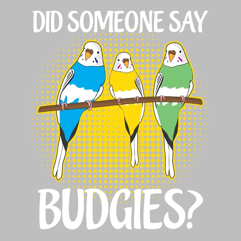 Budgerigar Disant Perruche