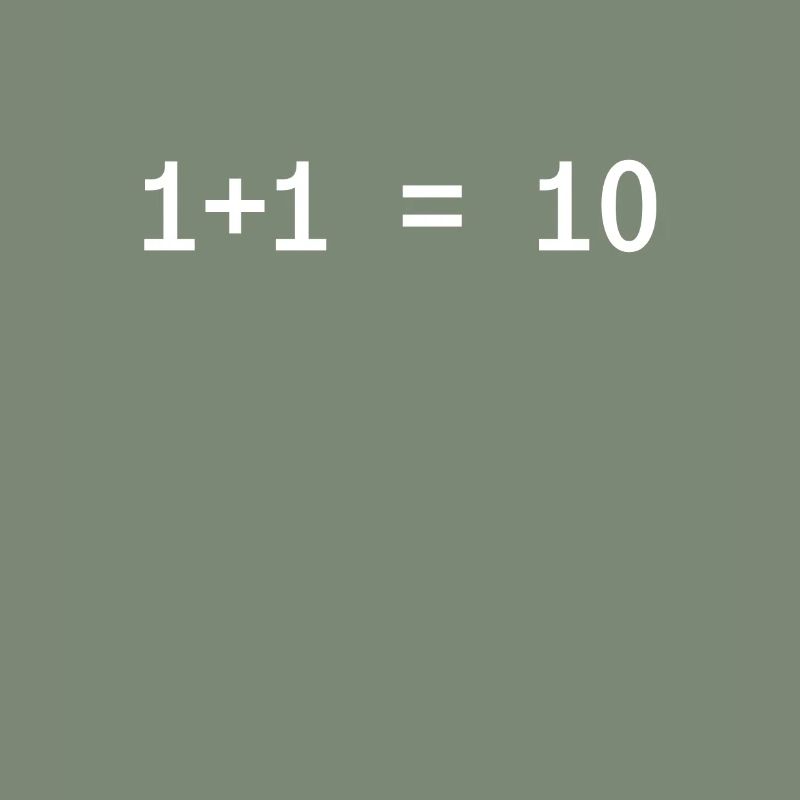 1 + 1 = 10 Funny Programmer Computer Science