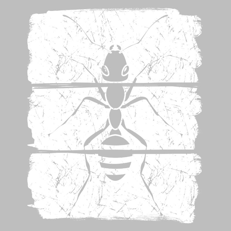 Fourmis Fourmi fourmi fourmi