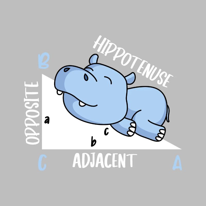 Hippotenuse Math Teacher Fun Math