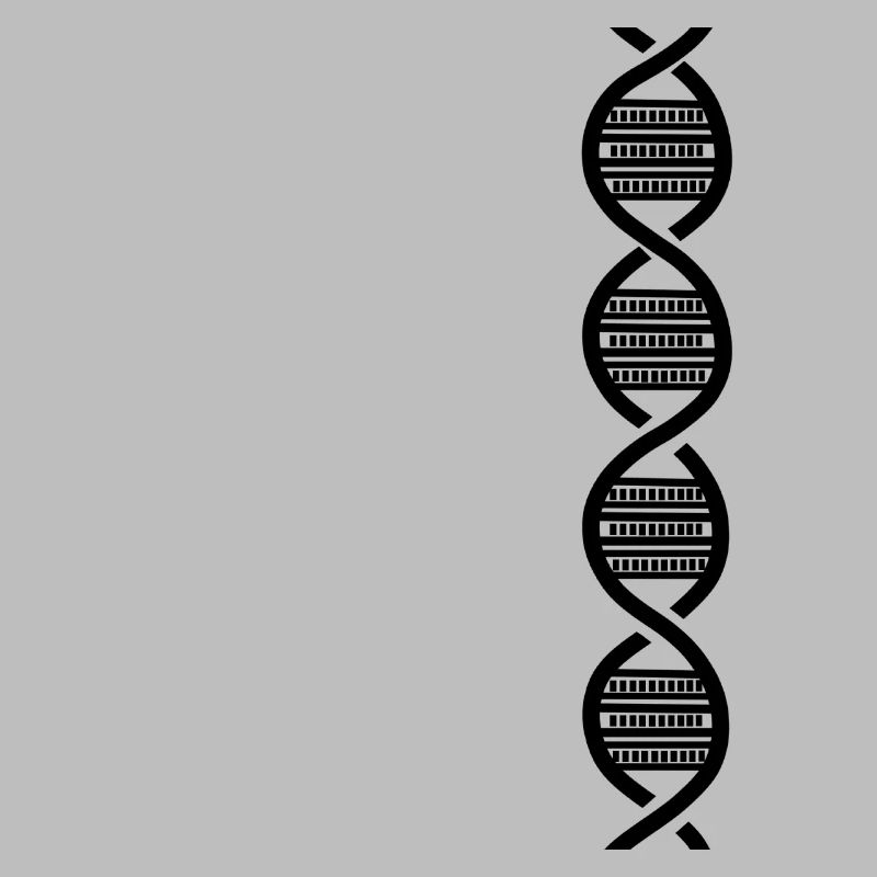 Black DNA harmonica for harmonica player