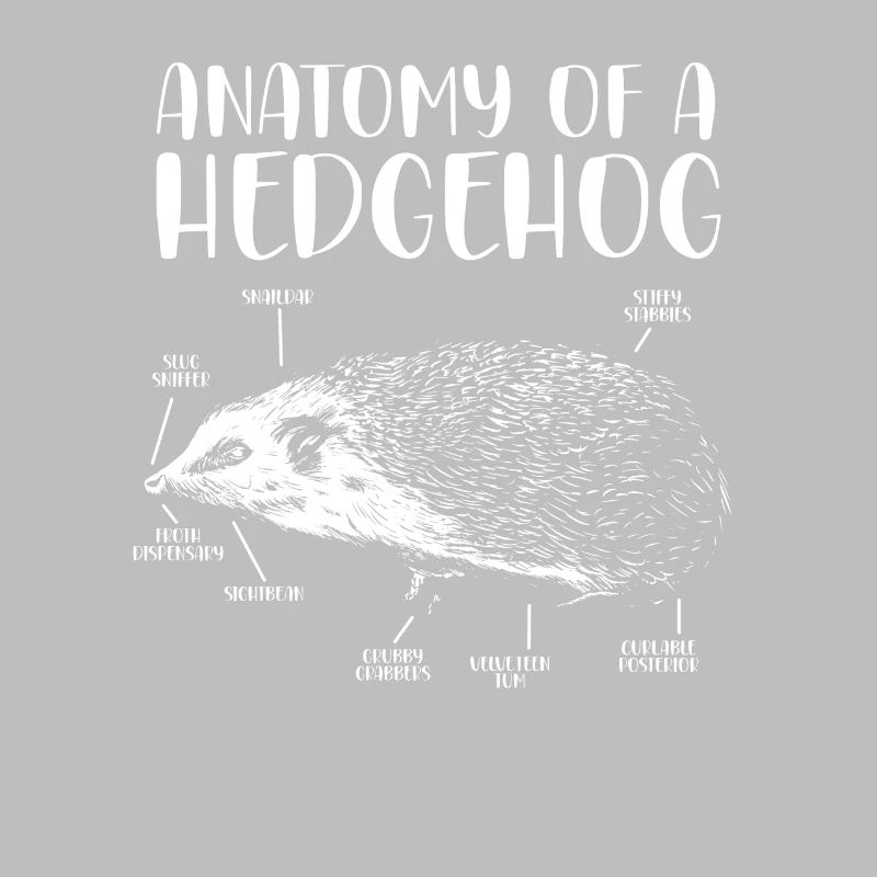 Anatomie d’un hérisson