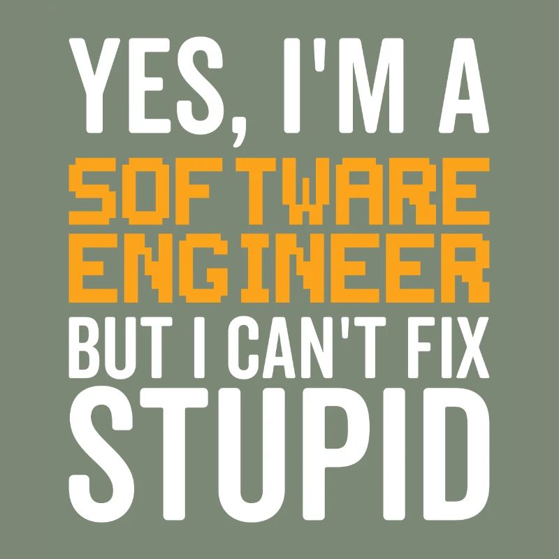 Stupid Software Engineer