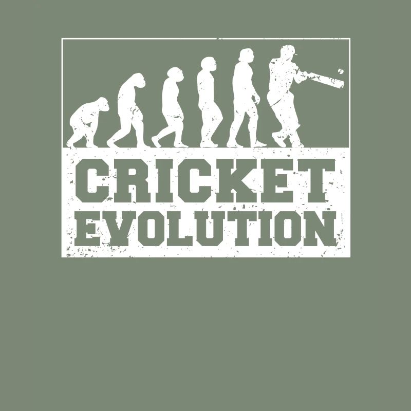 Cricketer Cricket-game Evolution