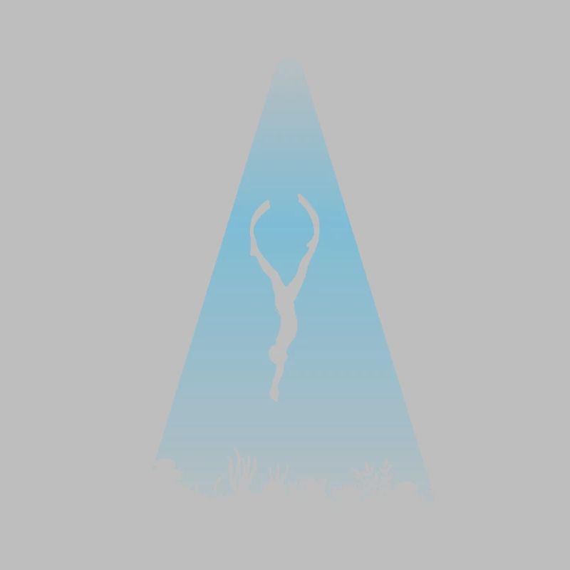 Divers Dive Deep