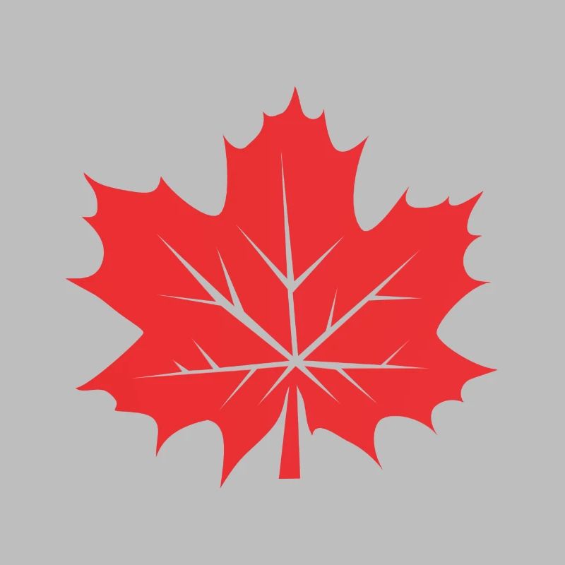 Feuille d’érable Feuille Canada Arbre