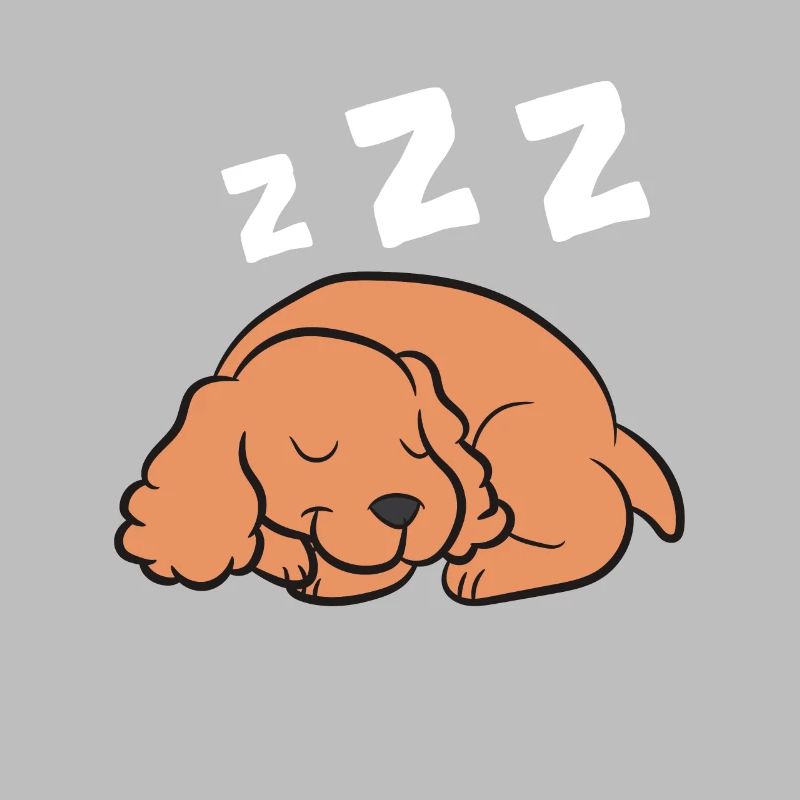 Cocker Spaniel Chien Dormant Pyjama Cocker