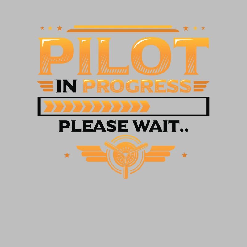 Pilot In Arbeit, Bitte Warten, Flugzeugtraining