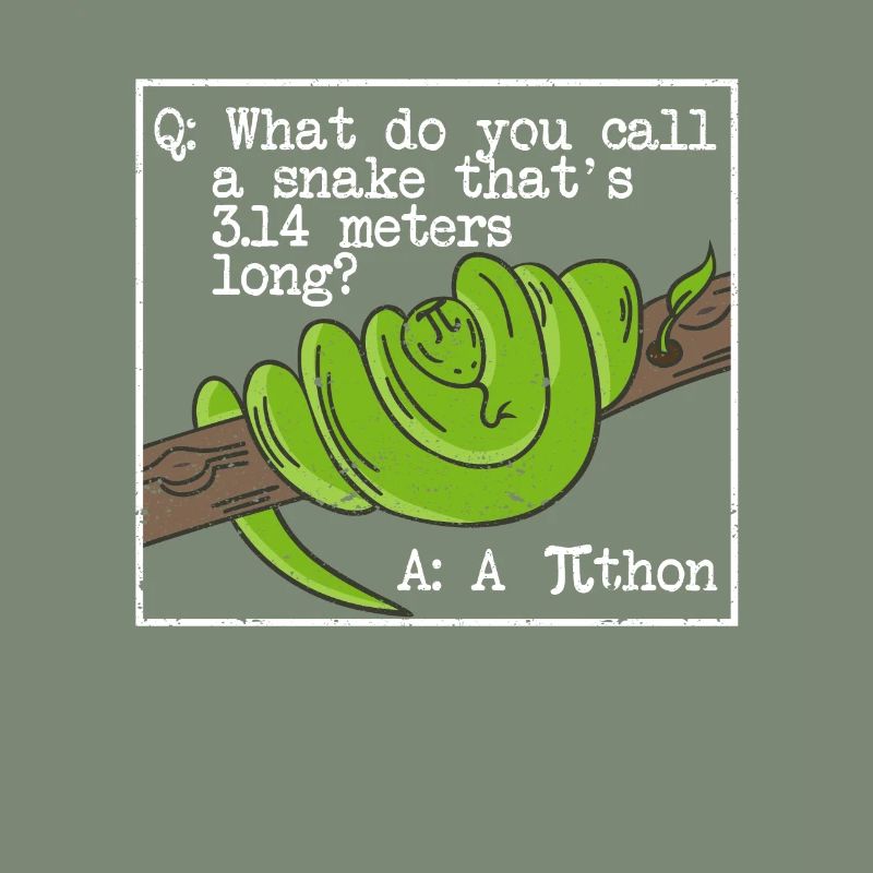 Python Snake Pithon Pi Tag Icon Funny Math