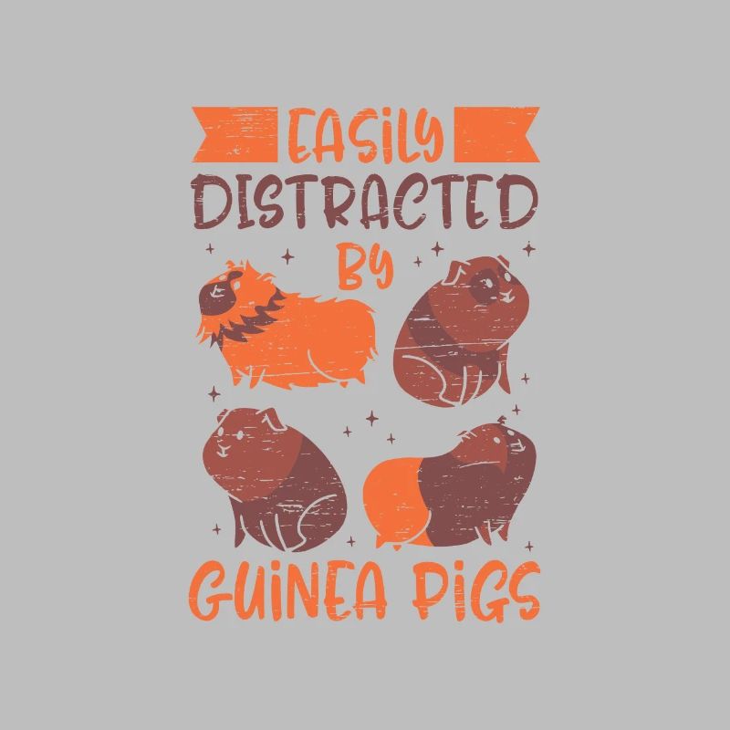 Facilement distrait par les cochons d’Inde