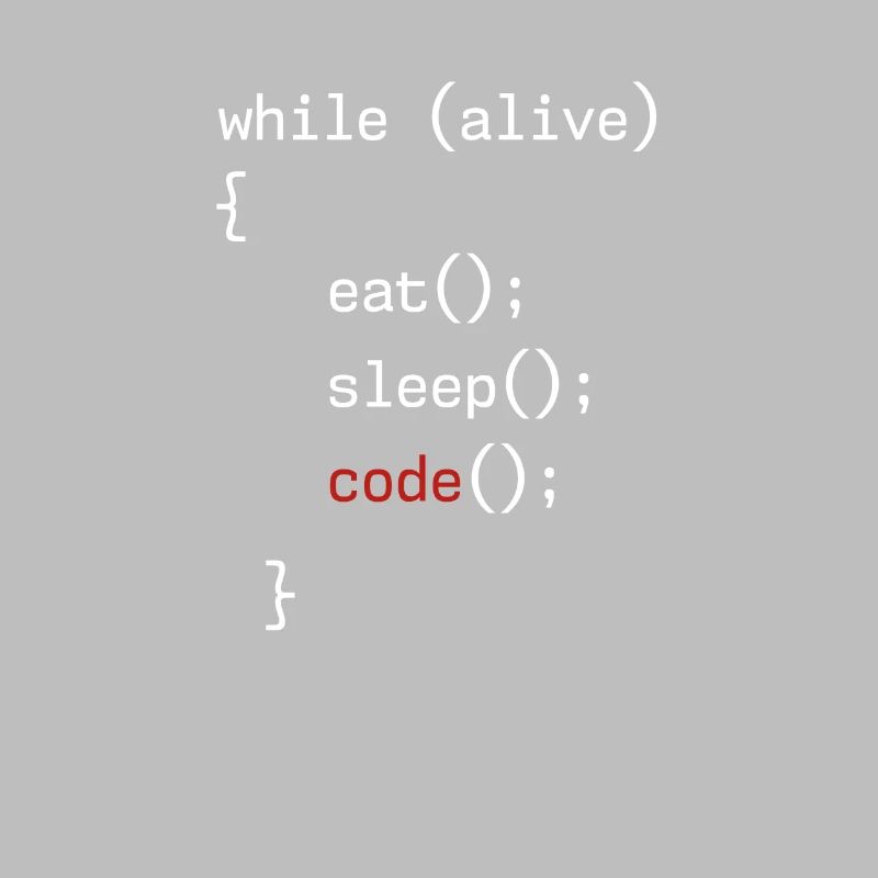 Administrateur Coding Geek Programmeur