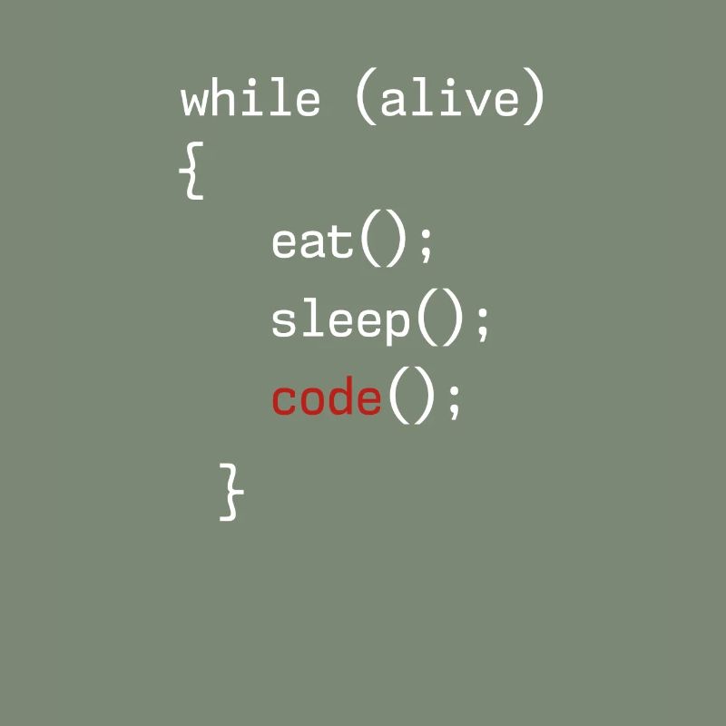 Administrator Coding Geek Programmierer