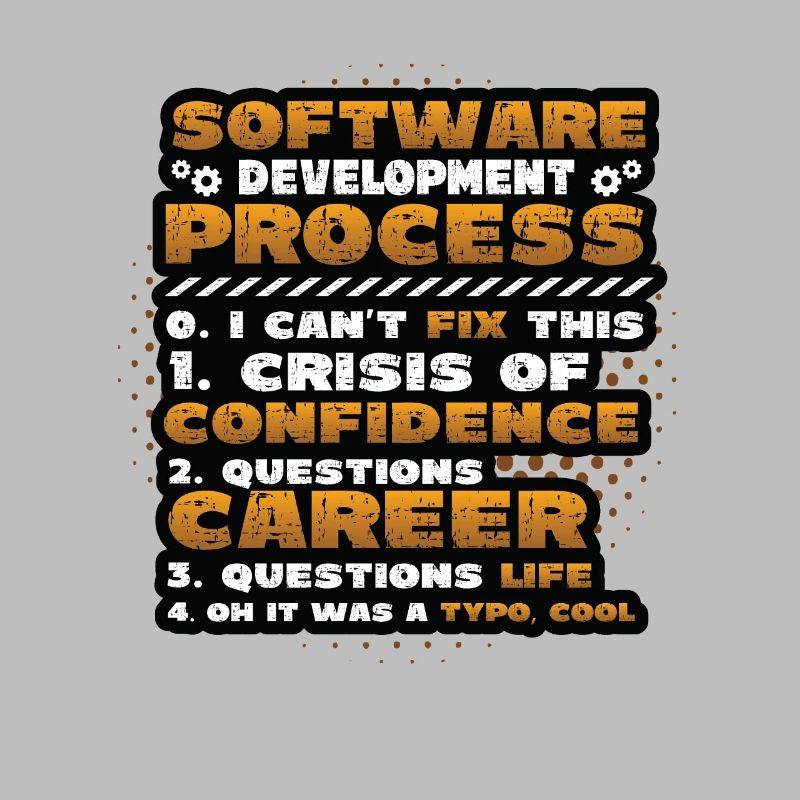 Processus de développement de logiciels, programmation