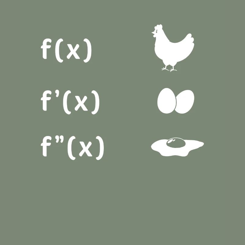 Derivative Function Chicken Egg Fried Egg Maths