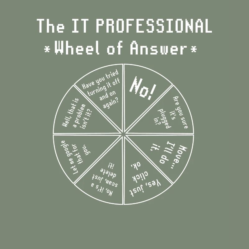 The IT Professional Computer Software Programmer