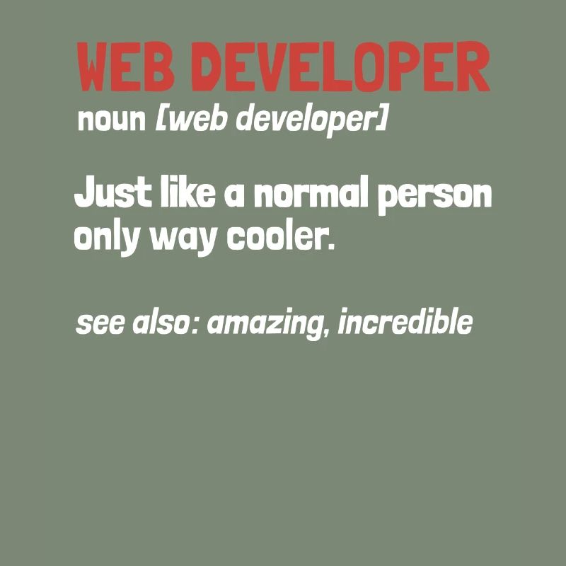 Web Entwickler Webdeveloper Definition