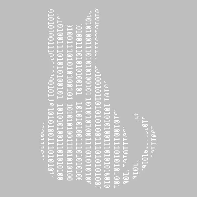 Informaticien Cat Admin Programmeur