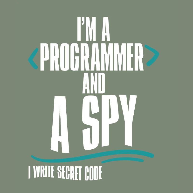 I'm A Programmer And A Spy, I Write Secret Code 2