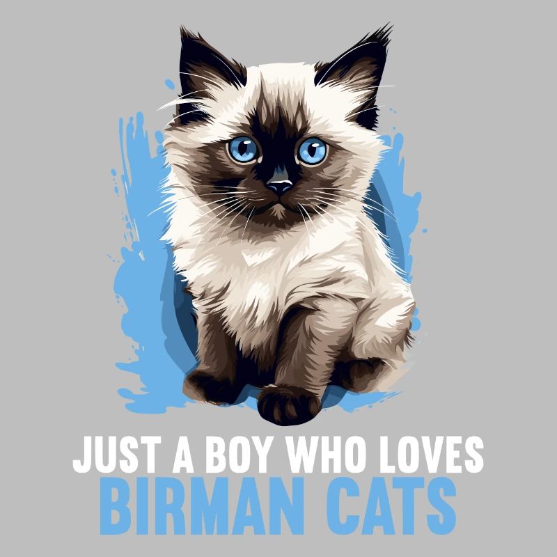 Birman Cat Birma Katze