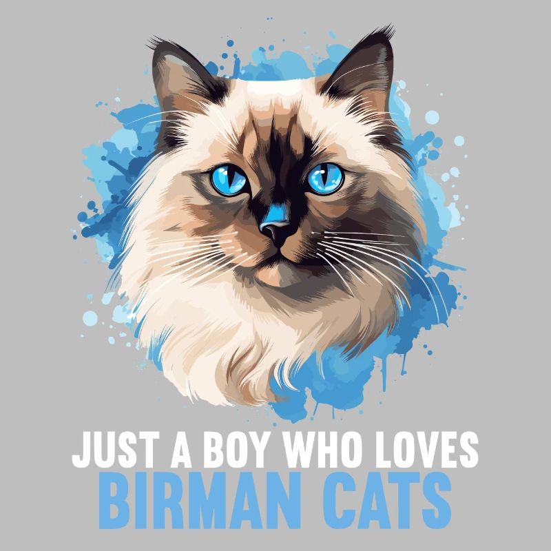 Birman Cat Birma Katze