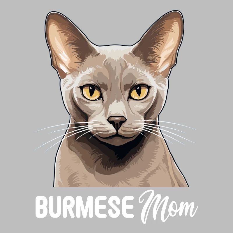 Chat birman Birmanie Katze