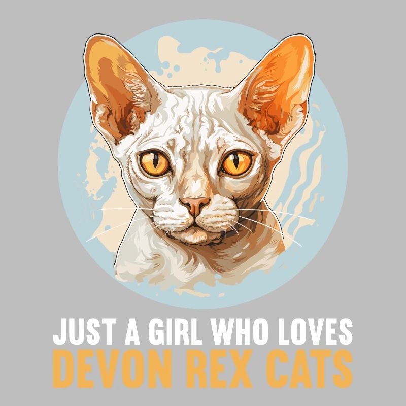 Chaton Devon Rex Chat Devon Rex