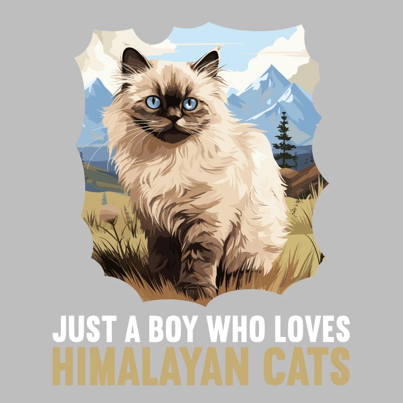 Chat de l’Himalaya Colourpoint Katze