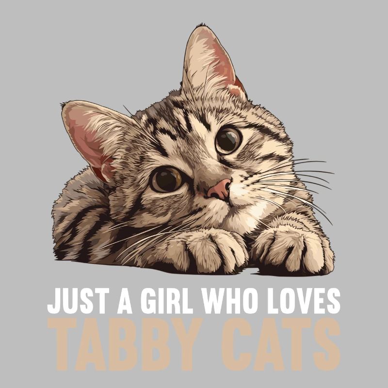 Tabby Kitten Tabby Cat
