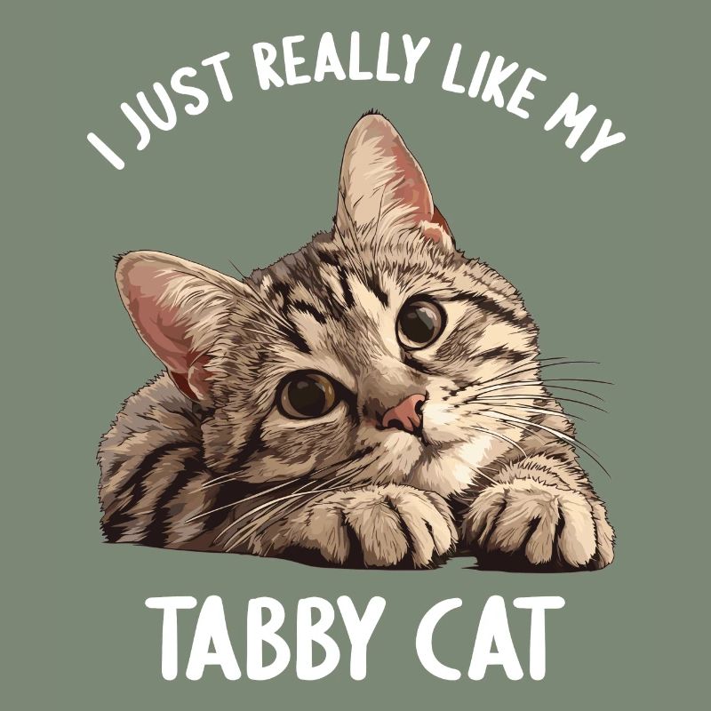 Tabby Kätzchen Tabby Katze