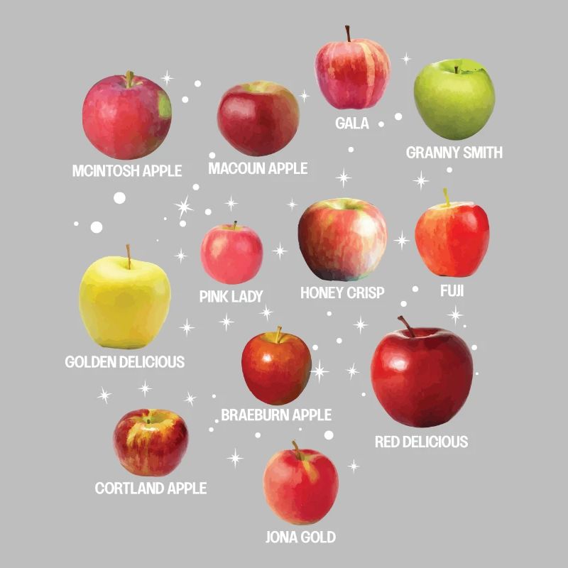 Cool Apple Varieties Different Apples Fruit