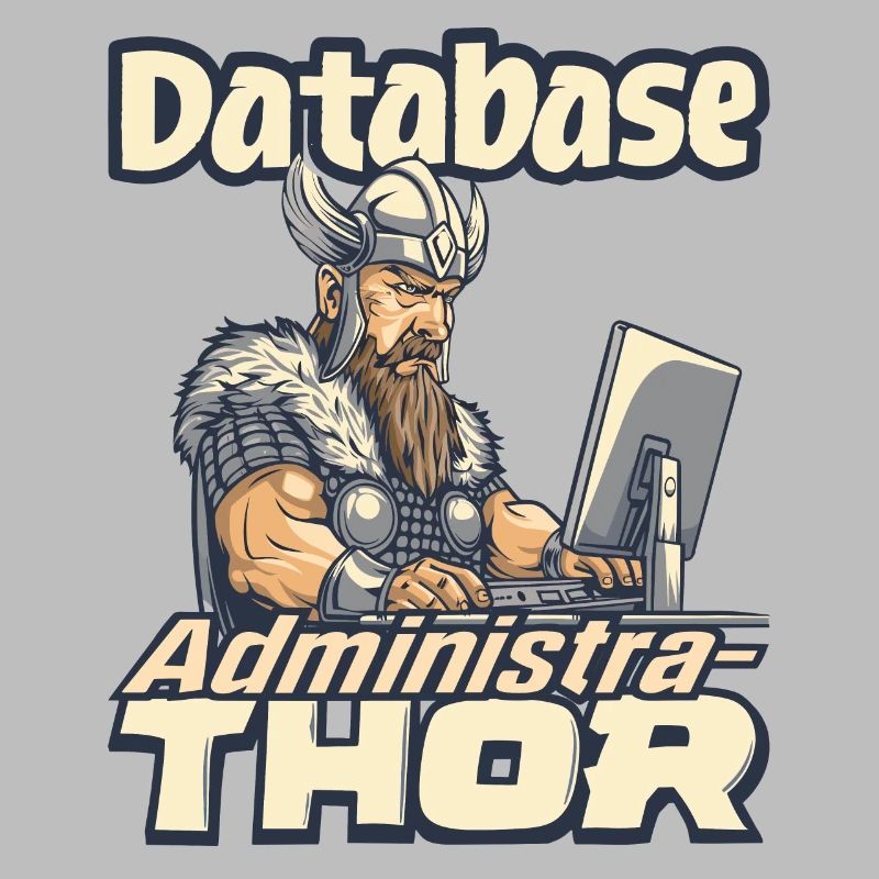 Viking Databaseadministra-thor Nerdy