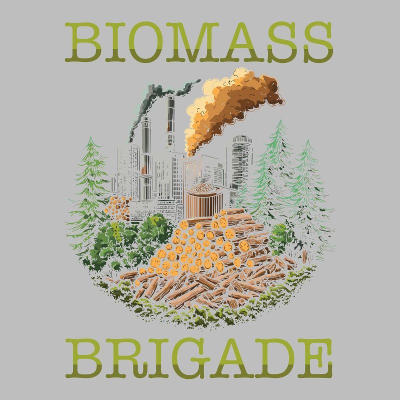 Équipe de techniciens en biomasse