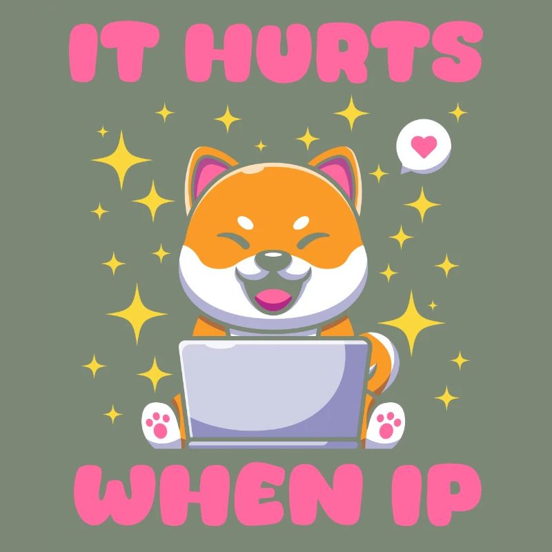 IT Geek, Accessoires PC Périphériques de stockage Evolution