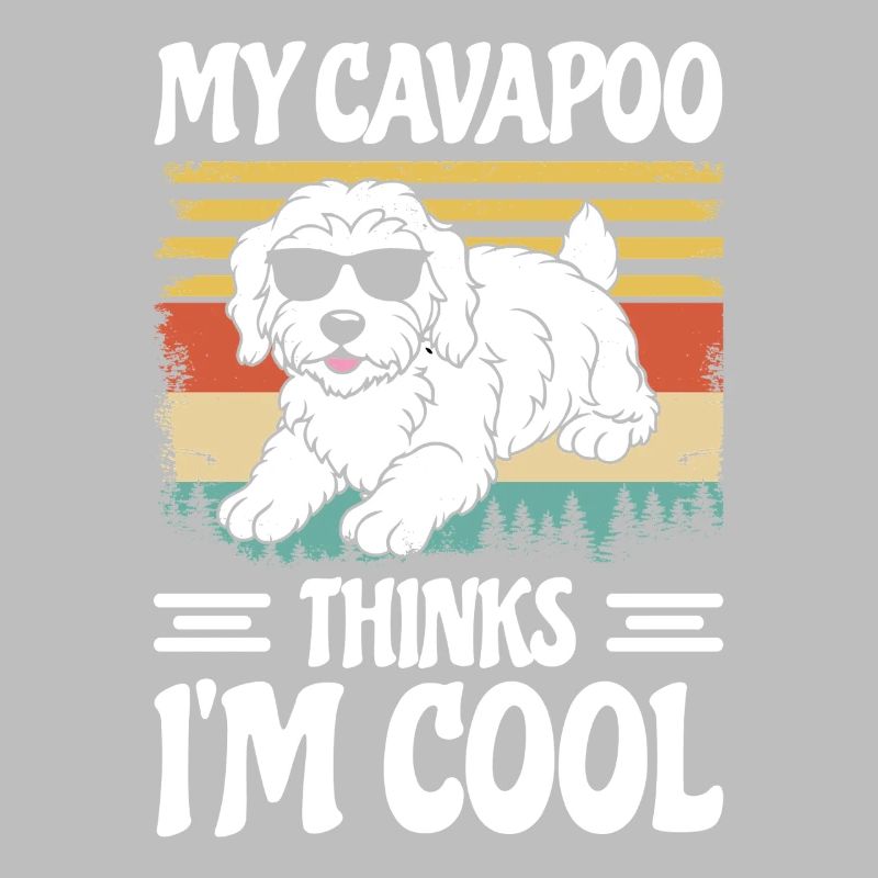 Drôle Cavapoo Chien à fourrure Cavadoodle Drôle de chiot