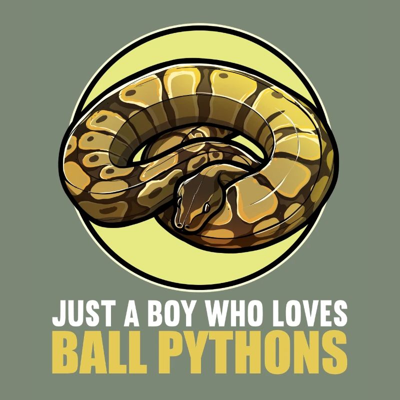 Ball Python Roi Python Roi Python