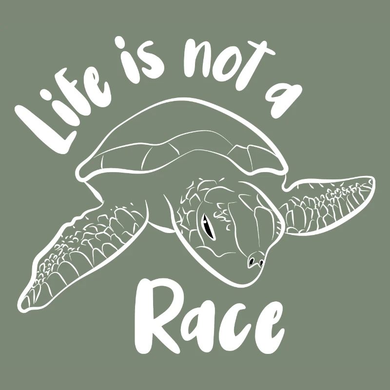 Turtle Turtle