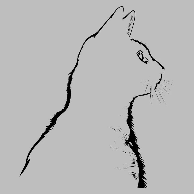 Chat, Motif De Chat