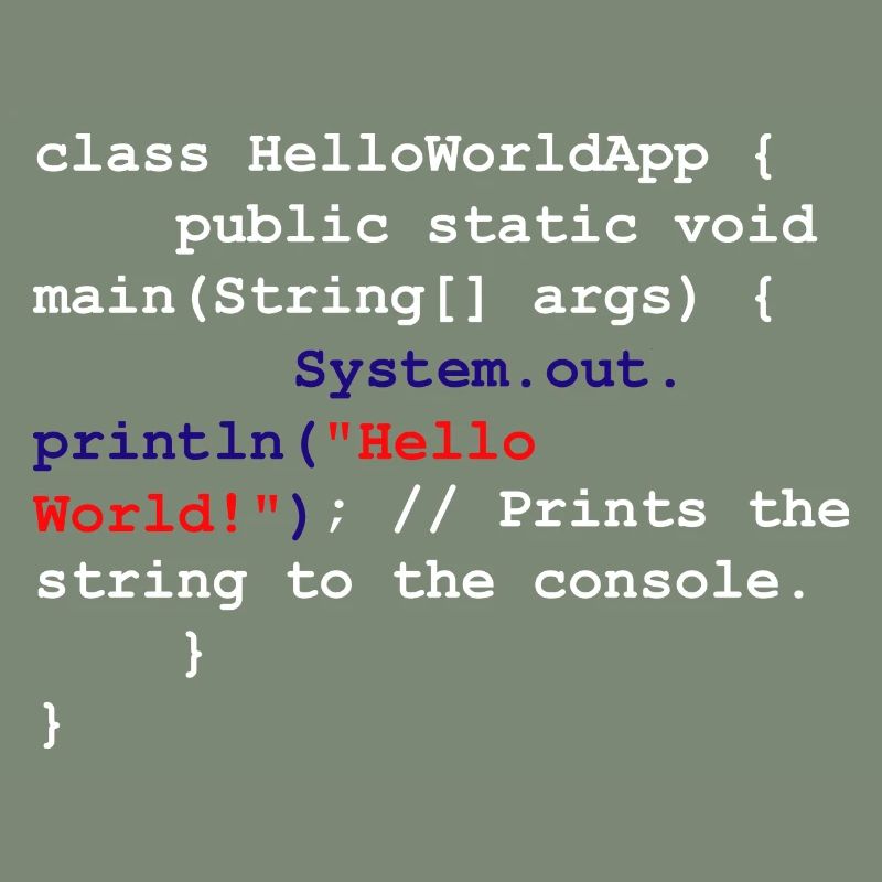 Programmer Coder Software Developer