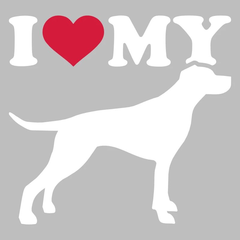English Pointer